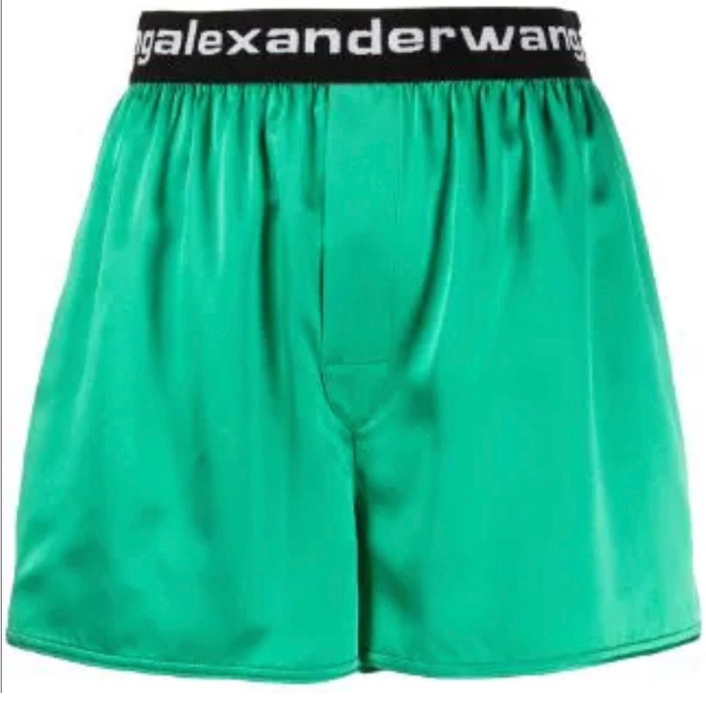 Alexander Wang Silk Shorts